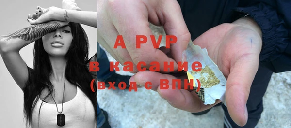 хмурый Арсеньев