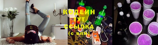 хмурый Арсеньев