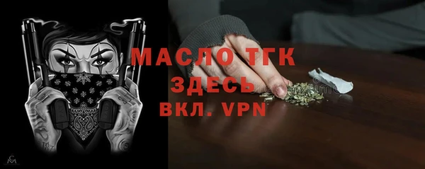 хмурый Арсеньев