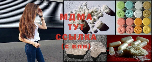 хмурый Арсеньев