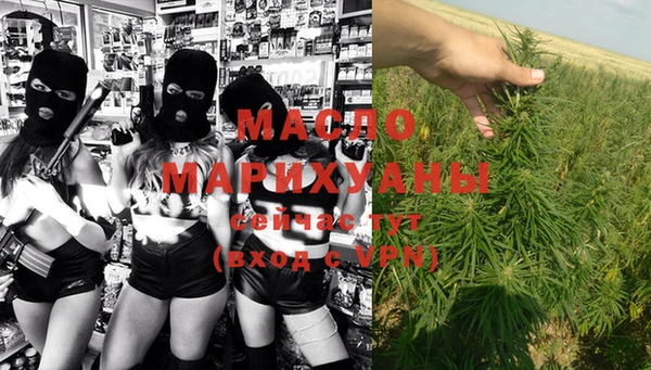 хмурый Арсеньев