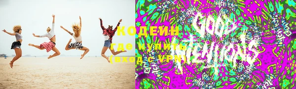 хмурый Арсеньев