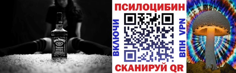 blacksprut tor  даркнет наркотические препараты  Белорецк  Галлюциногенные грибы Psilocybine cubensis  даркнет сайт 